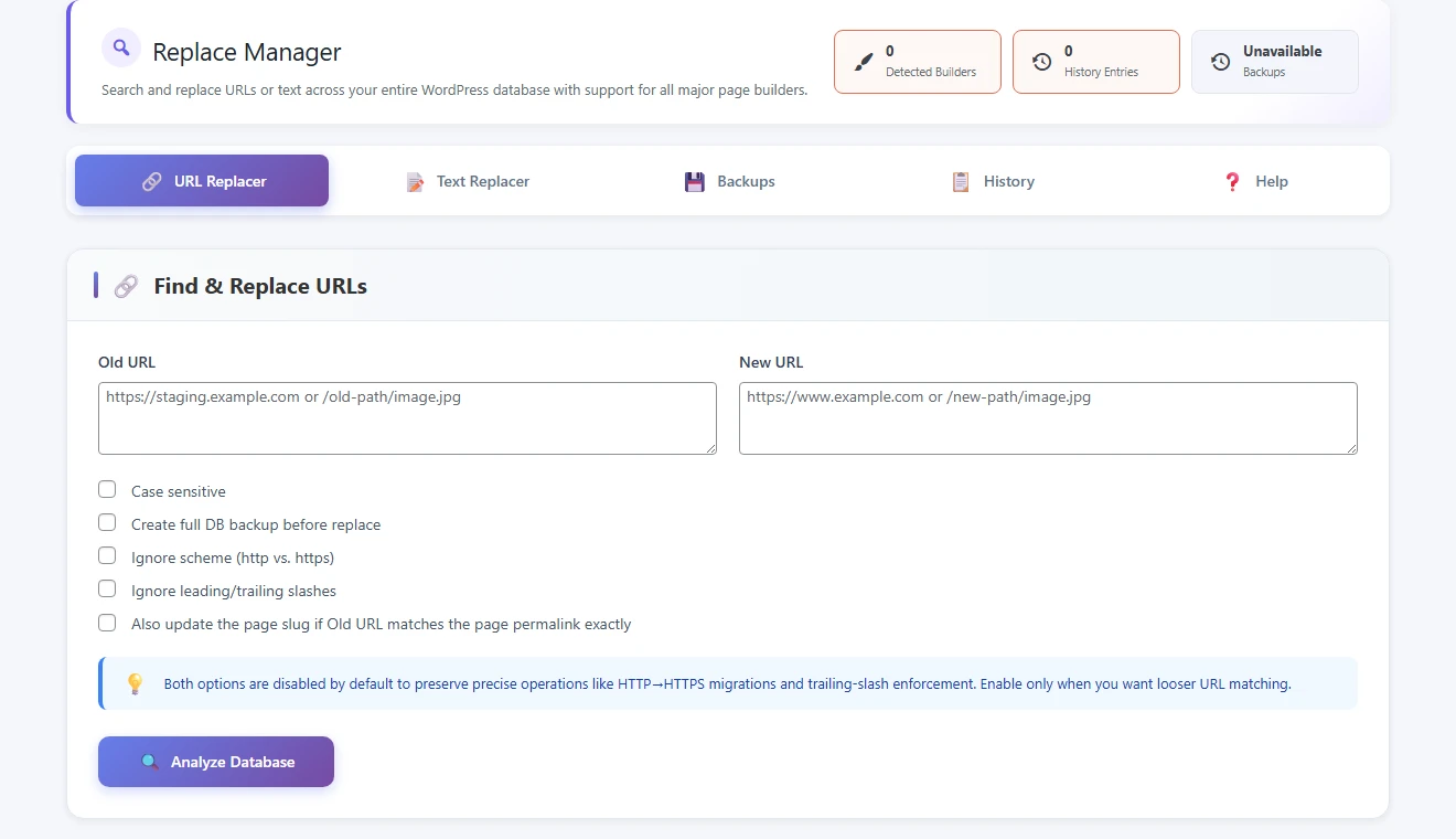 All in One WP Settings Replace Manager URL replacer screen